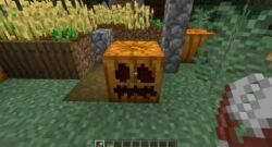 abóbora minecraft